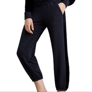 Velvet by Graham & Spencer joggers